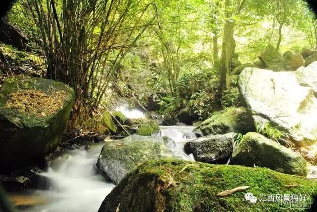 江西遂川车祸_江西遂川中学_江西遂川种植致富