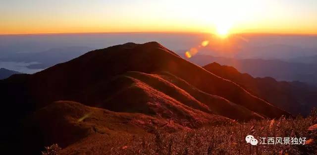 江西遂川车祸_江西遂川中学_江西遂川种植致富