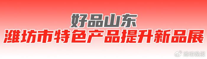 大棚西红柿种植与管理技术视频_大棚西红柿种植致富_大棚西红柿高产种植技术视频