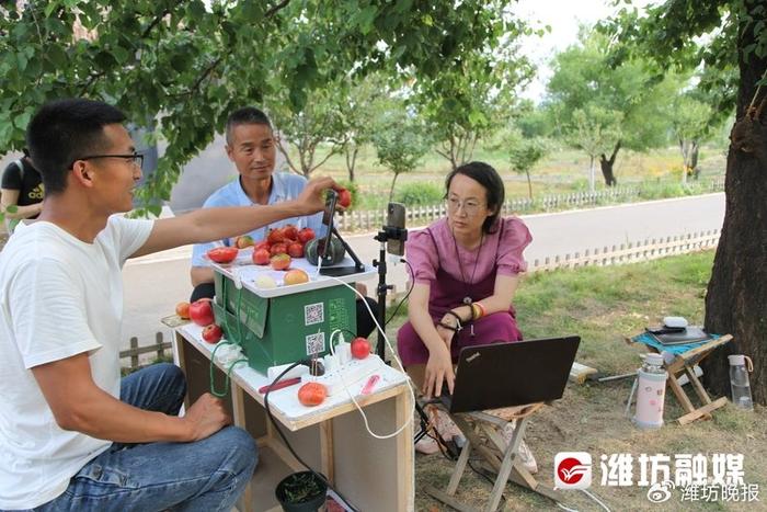 大棚西红柿高产种植技术视频_大棚西红柿种植与管理技术视频_大棚西红柿种植致富