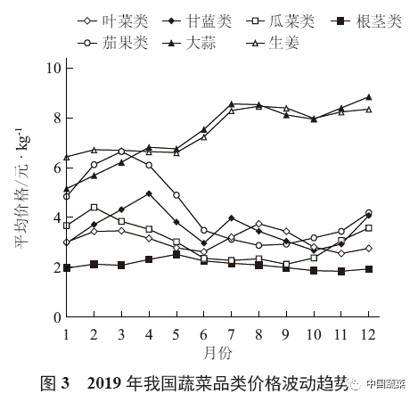 越冬种植包菜技术视频_包菜越冬种植技术_越冬包菜田间管理