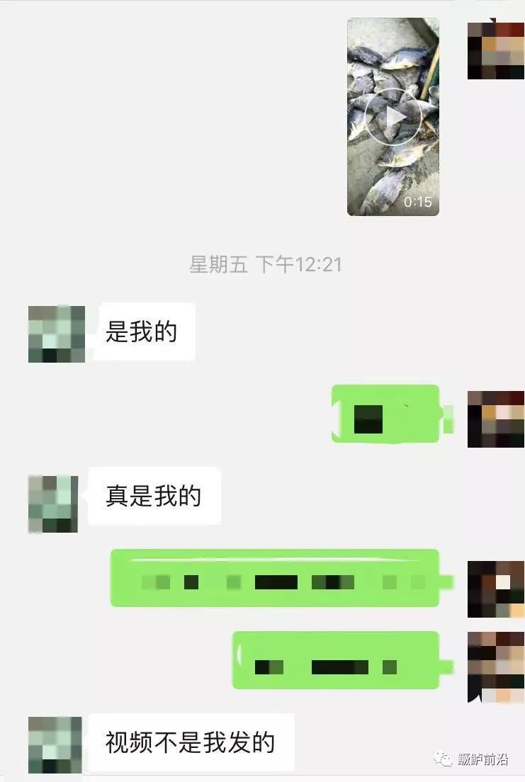 致富养殖桂鱼图片_养殖桂鱼的利润是多少_致富经桂鱼养殖