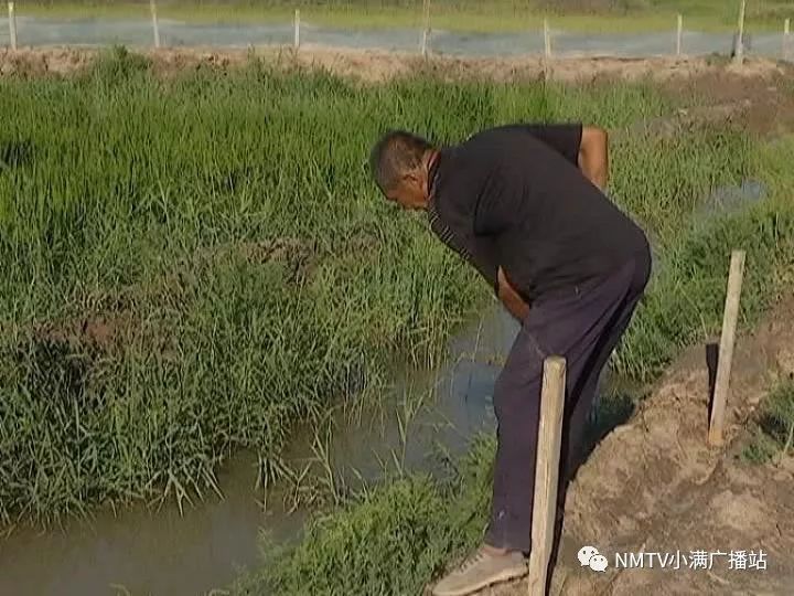 蟾蜍的养殖与加工技术_蟾蜍的养殖与加工技术_蟾蜍的养殖与加工技术