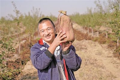 肥牛养殖致富项目_致富养殖肥牛项目介绍_养育肥牛的利润