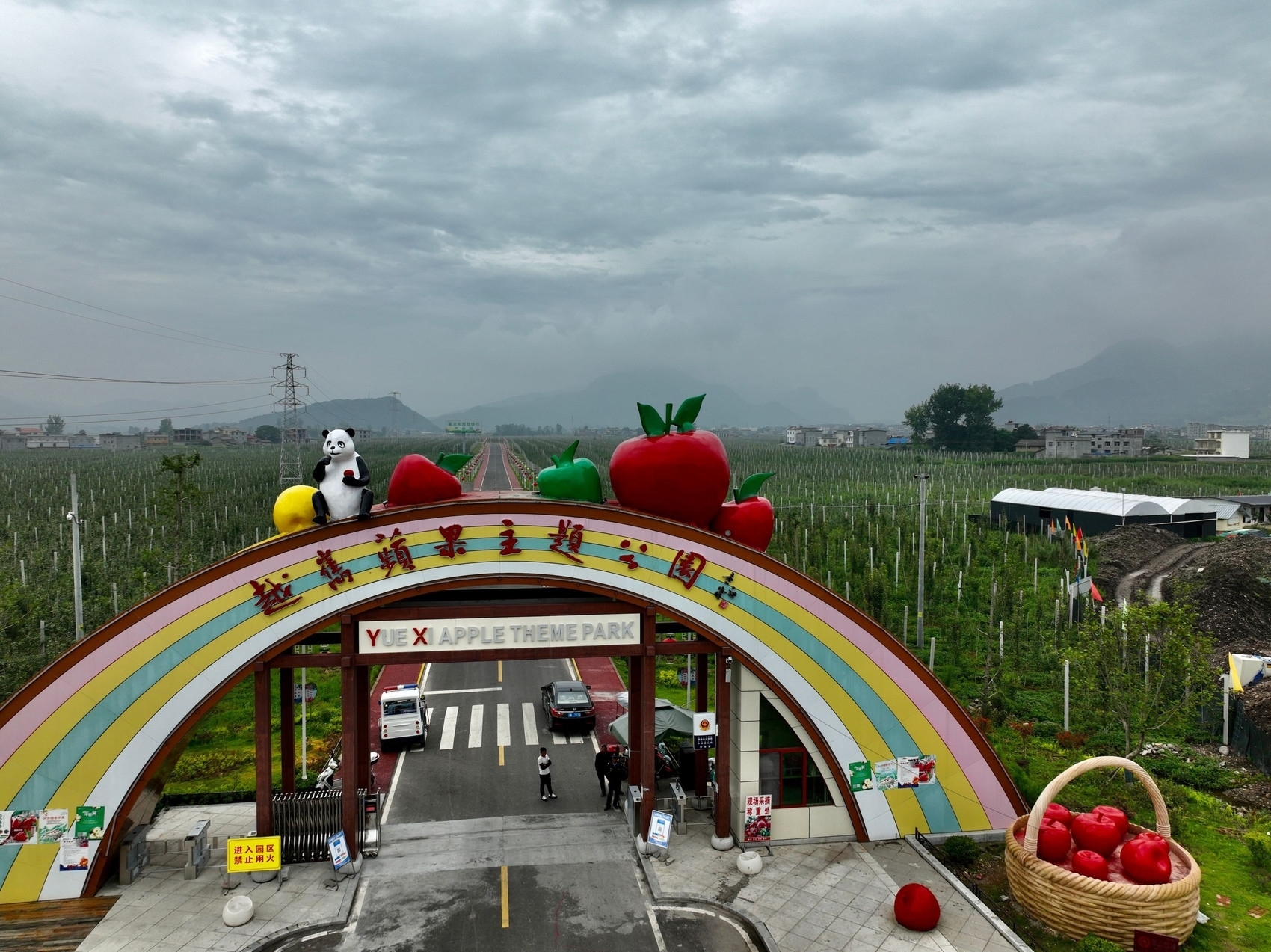 致富种植早熟苹果图片_早熟苹果种植致富_早熟苹果树新品种