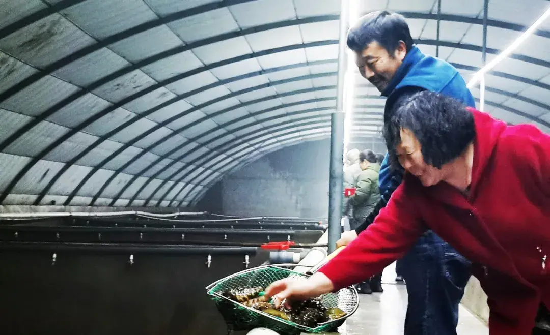 福建种植西红柿致富_福建莆田西红柿基地_福建西红柿种植时间