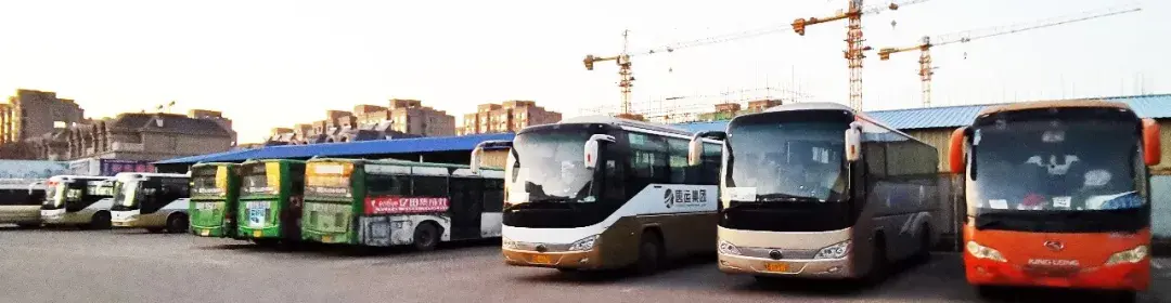 福建西红柿种植时间_福建莆田西红柿基地_福建种植西红柿致富