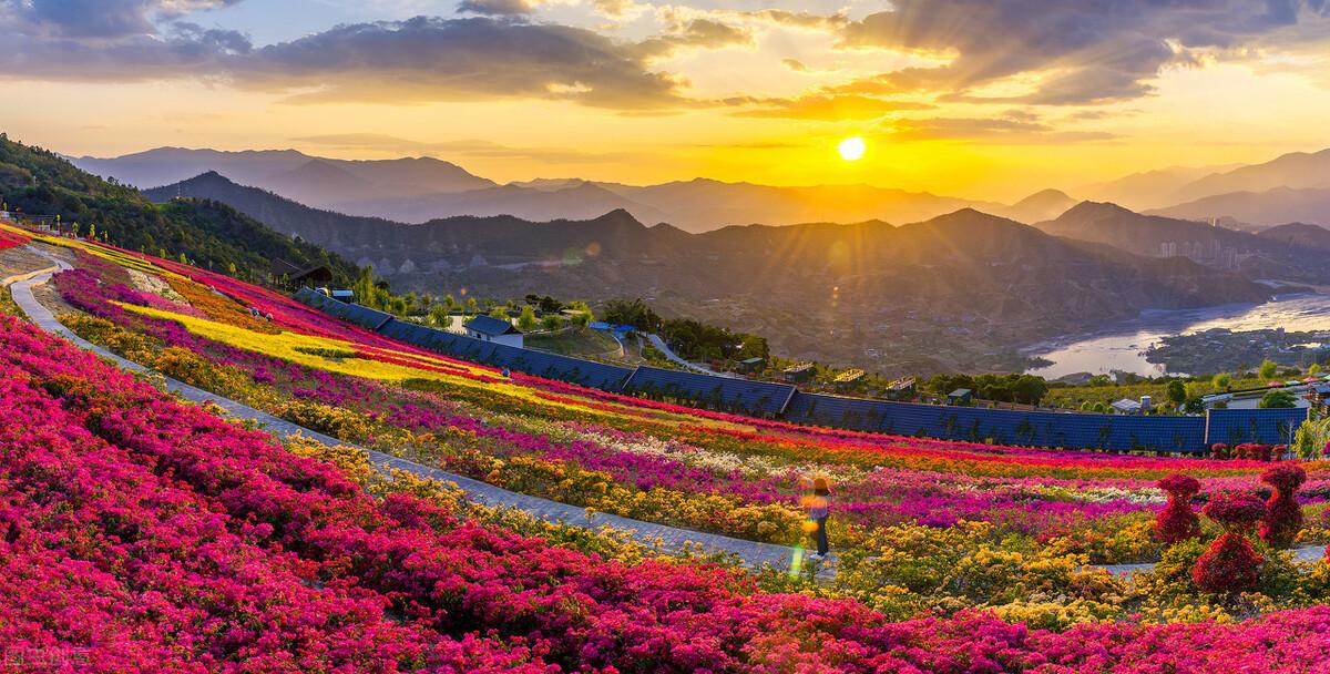 花卉生意的朋友请进，钟南山院士说过，它是一个很有希望的行业