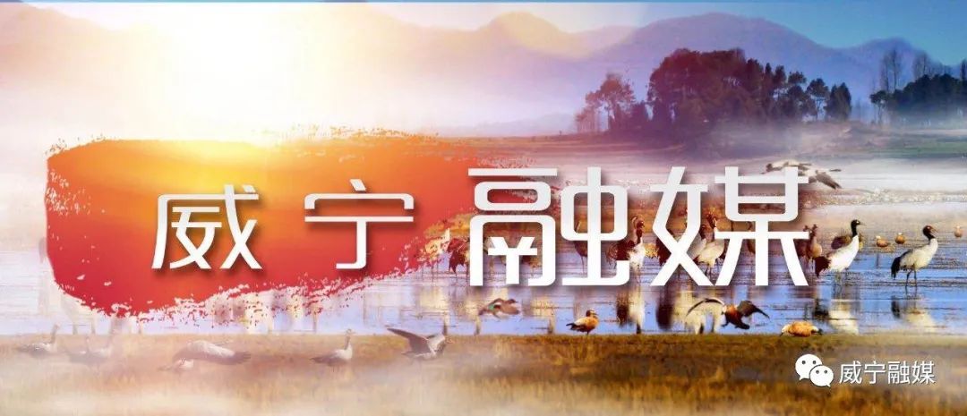 高原红苹果  致富“金果果” ——威宁50万亩苹果成群众致富甜蜜产业