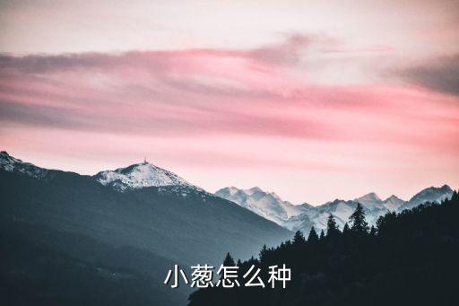 小葱怎么种