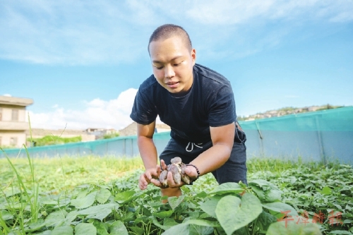 “在平潭养蜗牛，我很有信心”