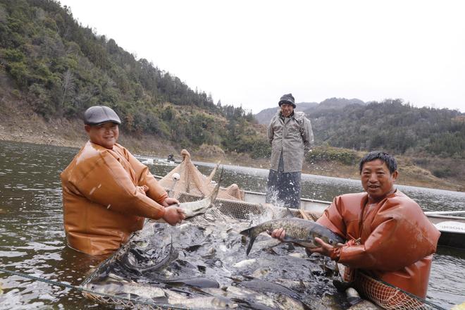 致富养殖项目_致富养殖np_致富养殖牛怎么养赚钱