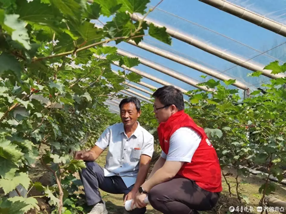 种植致富经_致富种植什么比较赚大钱_银行支持种植致富