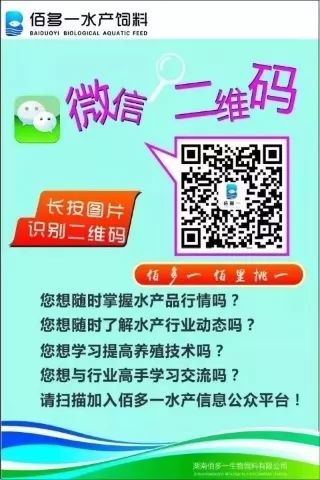 视频养殖大棚牛蛙技术教程_大棚牛蛙养殖技术视频_牛蛙大棚育苗养殖技术