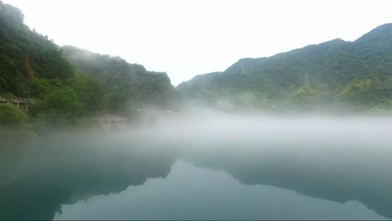 养殖水草_养水草赚钱吗_致富经有养水草的吗