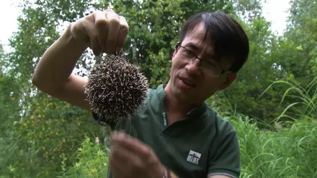 致富蜂蜜央视曝光视频_央视致富经蜂蜜_致富经养蜂蜜全视频