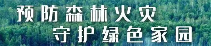 枣庄致富稻种植_水稻种植加盟_山东水稻种植