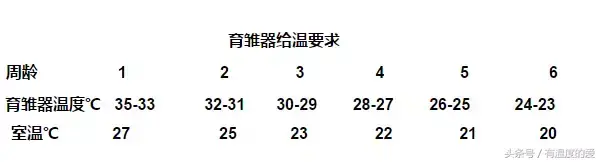 黑羽乌鸡致富经_致富经养黑乌鸡全视频_黑羽乌鸡价格