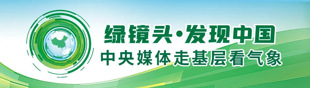 这里的冷水鱼，为什么这么“鲜”？