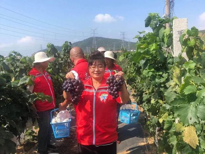 致富经面馆_致富经做面食的视频_视频致富面食做法大全