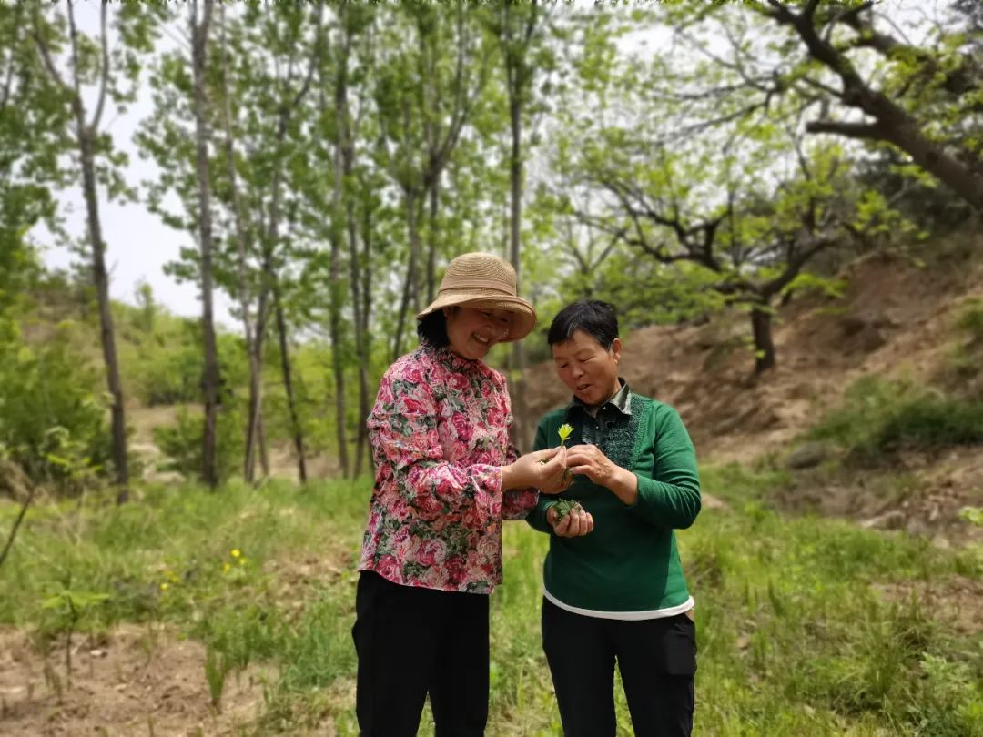 山东省最美乡村女致富带头人_致富经山东女_山东省最美女致富带头人