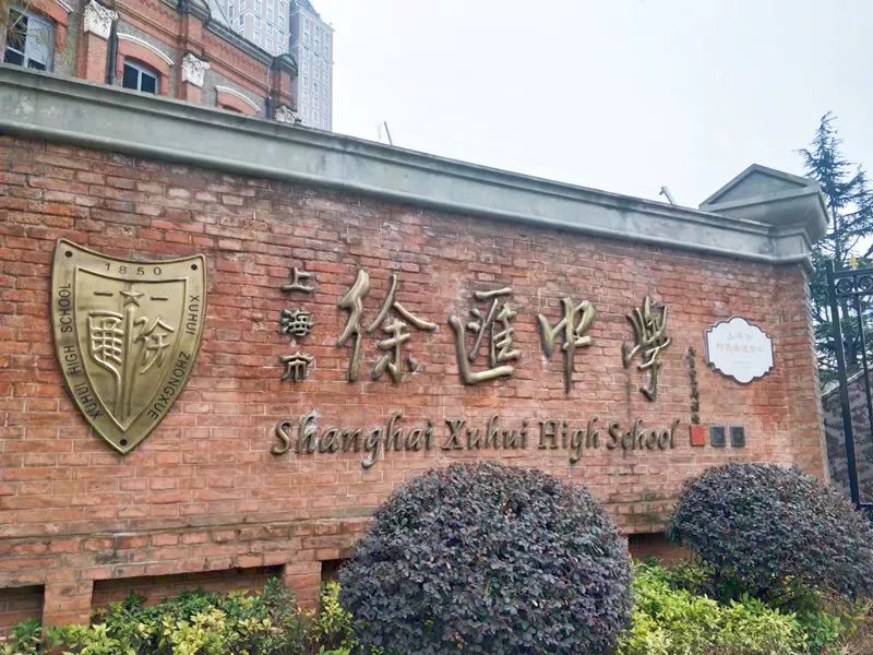 徐汇三所学校榜上有名！教育部公布这项活动优秀学校名单