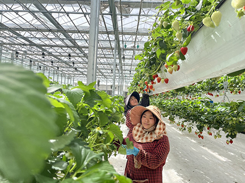 保定传承李保国精神持续推进校地合作 “太行山道路”越走越宽