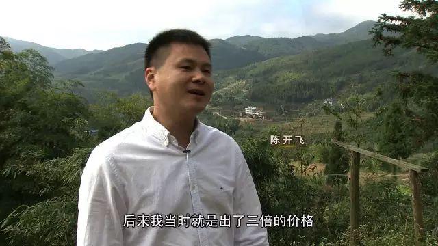 福建小伙放弃百万年薪工作，跑到农村养山羊，4年后狂赚5000万