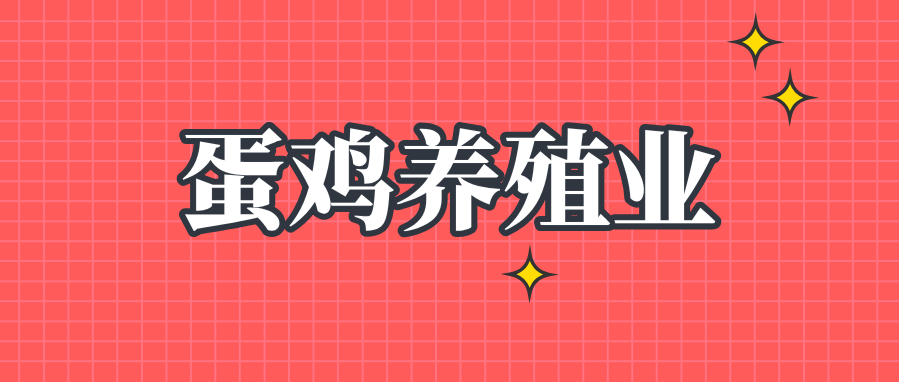 未来我国蛋鸡养殖业的出路在哪儿？