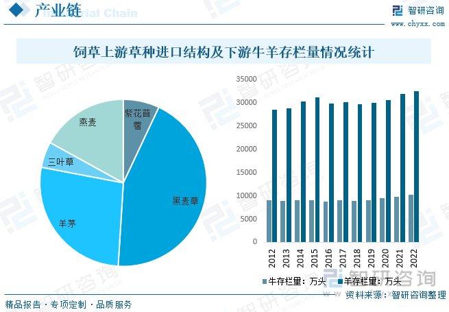 广西牧草良种繁殖场_广西牧草种植技术_广西牧草种子