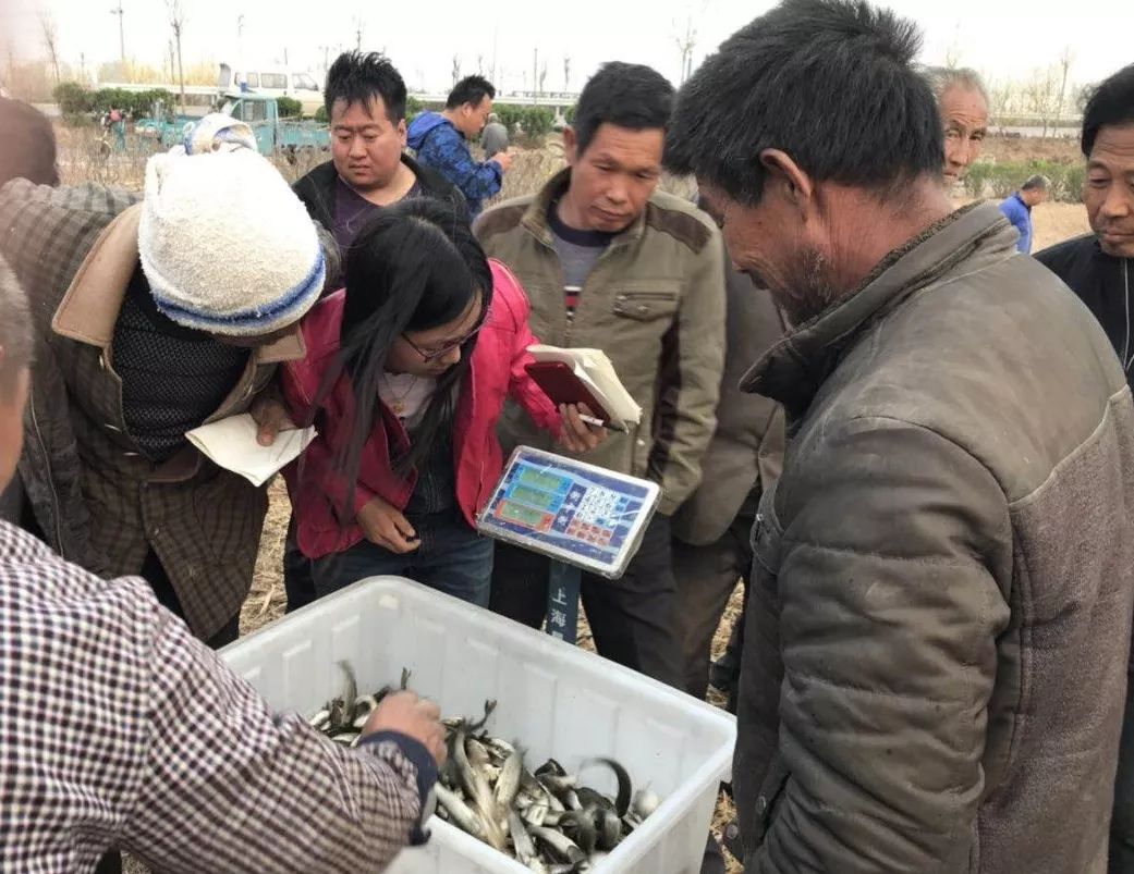 60岁养殖致富项目_致富养殖项目简介_致富养殖项目介绍