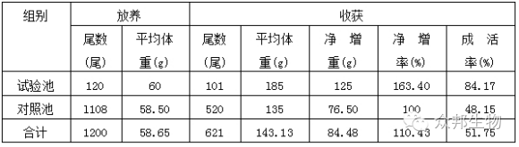 养殖河豚挣钱吗_河豚哪里有养殖技术_养殖河豚技术有哪些