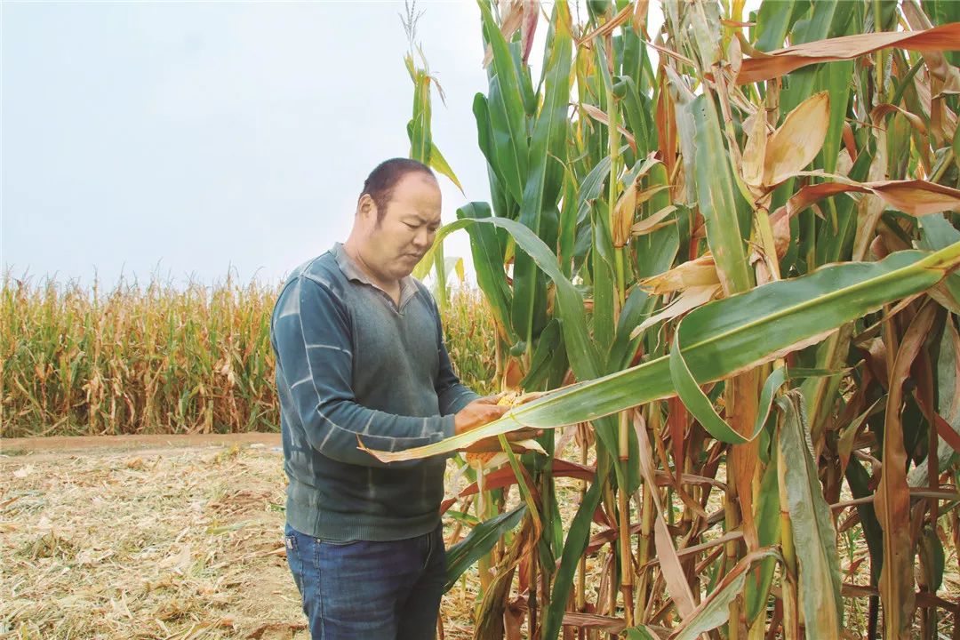 致富养殖好项目_致富养殖场_养殖致富之星