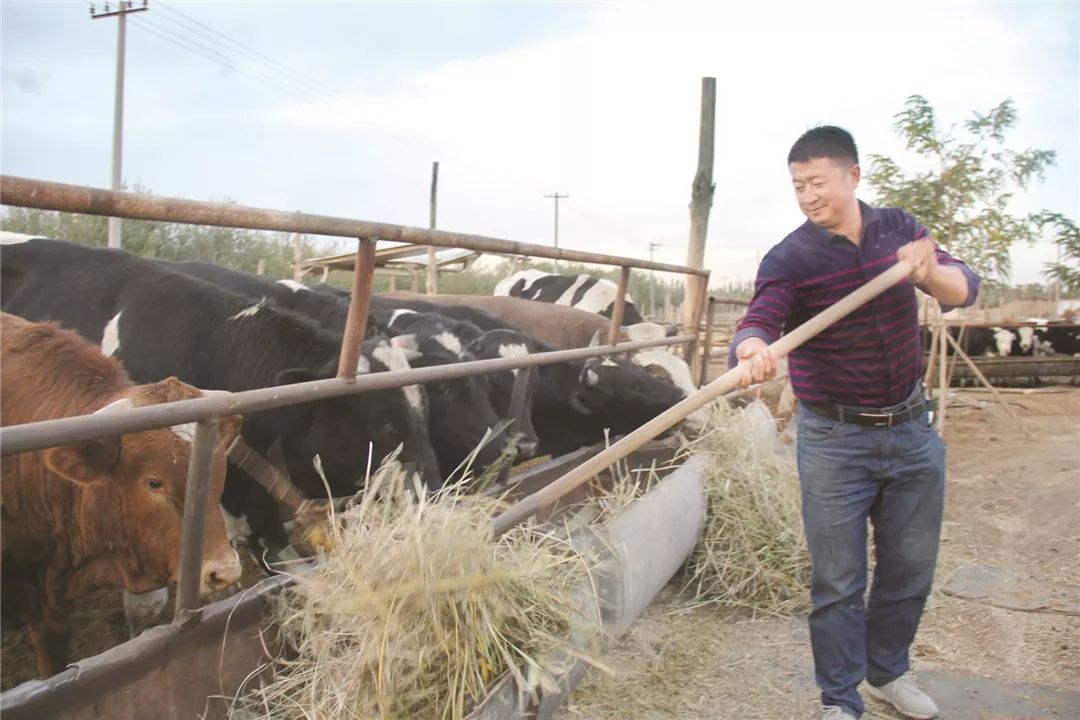 致富养殖场_养殖致富之星_致富养殖好项目