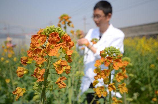 谁说农业不赚钱？这3个种植新玩法值得试试，成本少收入还高！