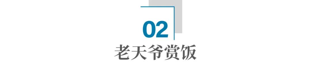 养殖河豚技术有前景吗_养殖河豚技术有前途吗_河豚哪里有养殖技术