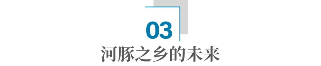 河豚哪里有养殖技术_养殖河豚技术有前景吗_养殖河豚技术有前途吗