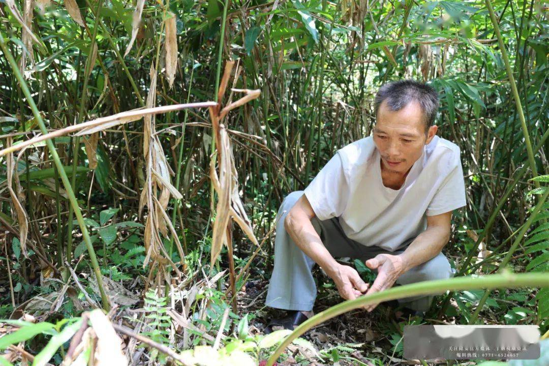 致富经里的项目可靠吗_林下经济 致富经_致富经种