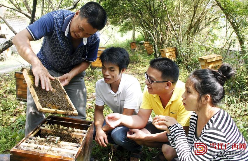 林下经济 致富经_致富经种植项目_致富经种植业完整版