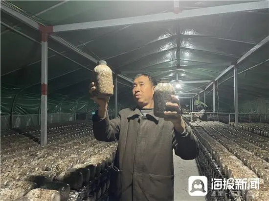 致富种植重庆项目有哪些_重庆致富好项目_重庆种植致富项目