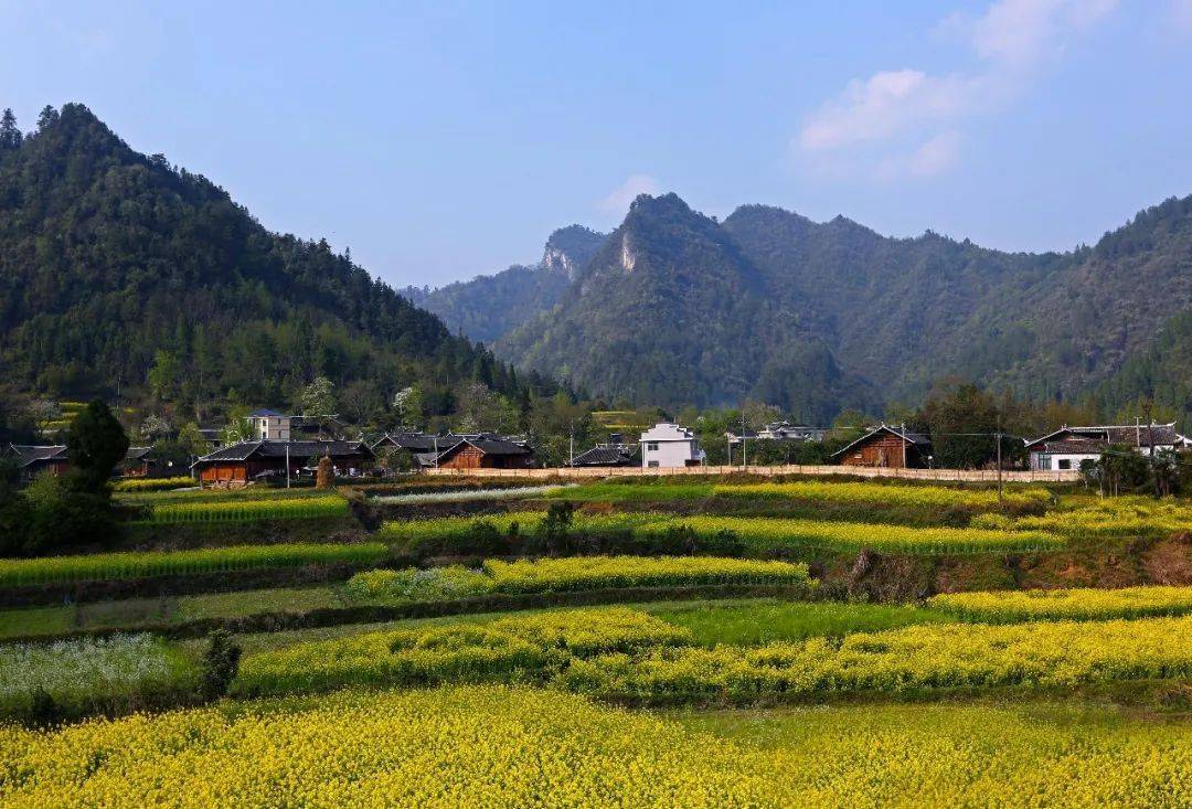 致富种植什么比较赚大钱_种植致富的路在哪里_农村致富种