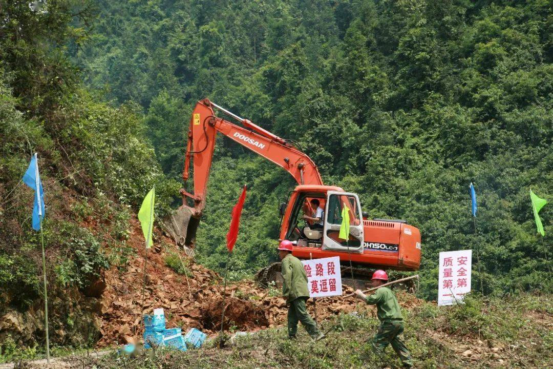 致富种植什么比较赚大钱_种植致富的路在哪里_农村致富种