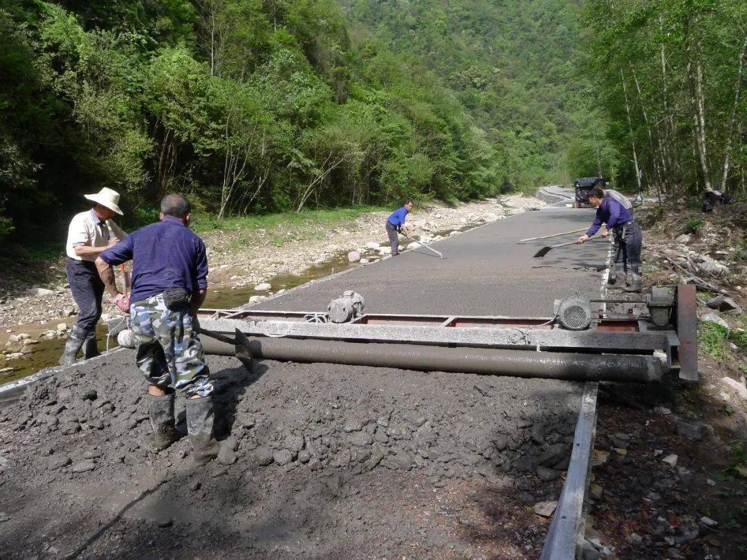 农村致富种_种植致富的路在哪里_致富种植什么比较赚大钱