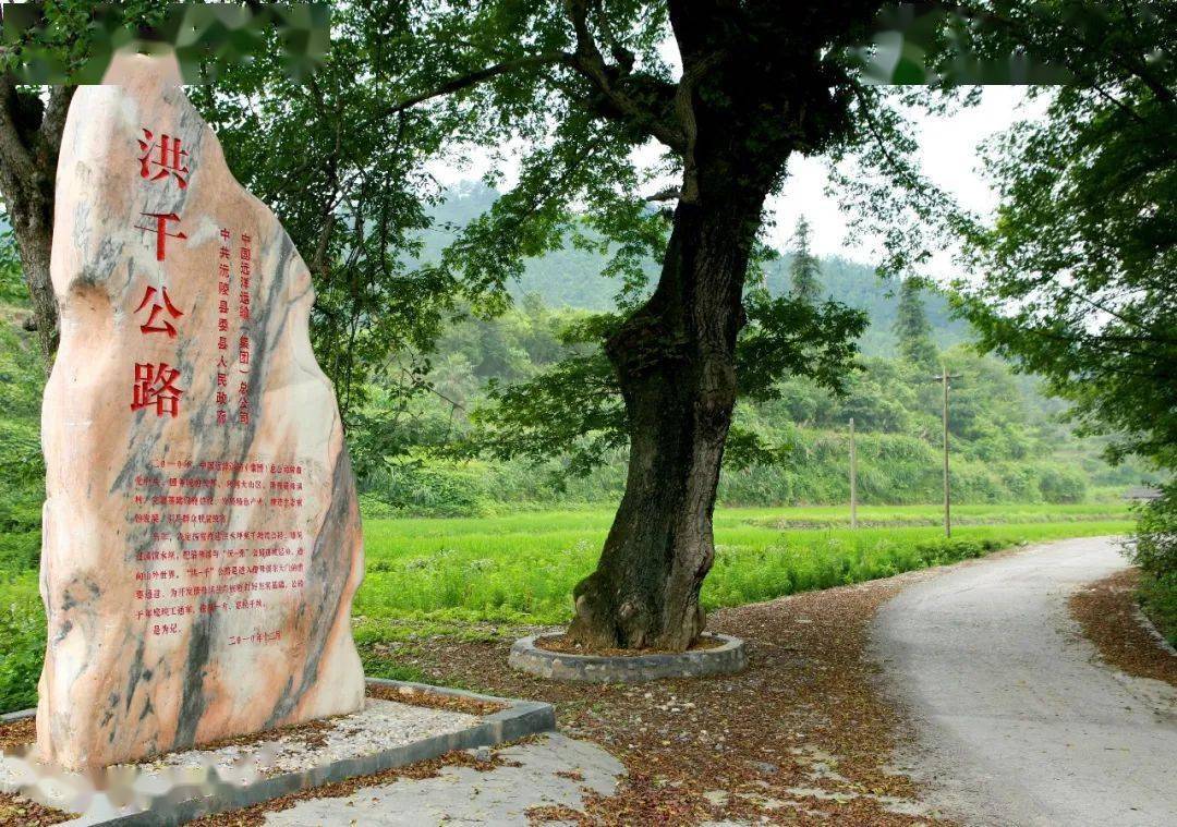 种植致富的路在哪里_致富种植什么比较赚大钱_农村致富种