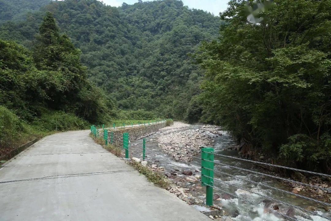 致富种植什么比较赚大钱_种植致富的路在哪里_农村致富种