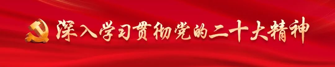 【聚焦“六大战略”】从乌骨鸡到“黑凤凰”——盐津县坚持“一县一业”发展乌骨鸡全产业链纪实