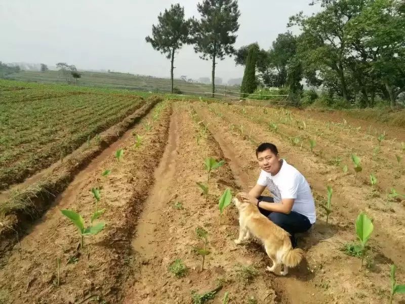 特色种植扶贫致富_扶贫致富项目有哪些_扶贫种植有什么项目