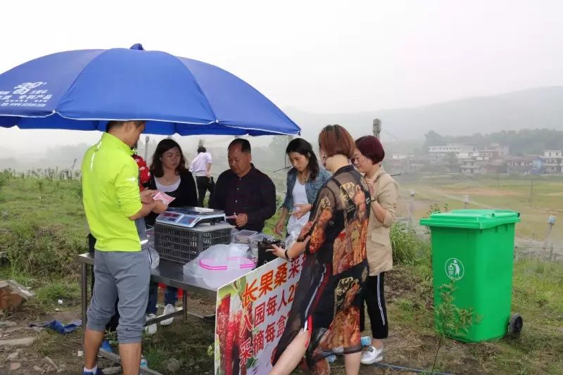 扶贫种植有什么项目_扶贫致富项目有哪些_特色种植扶贫致富