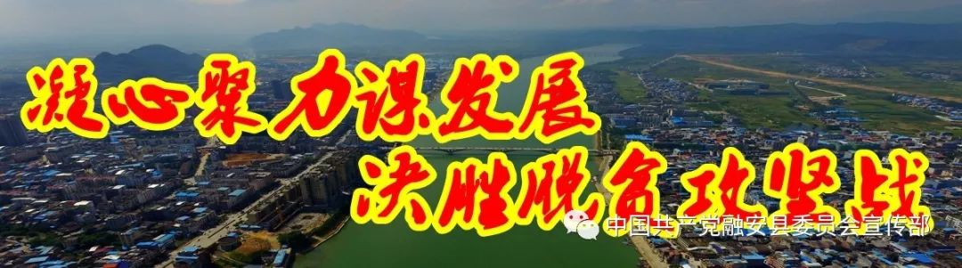 【扶贫】以特色产业开拓致富路——融安县大力开展产业扶贫工作综述