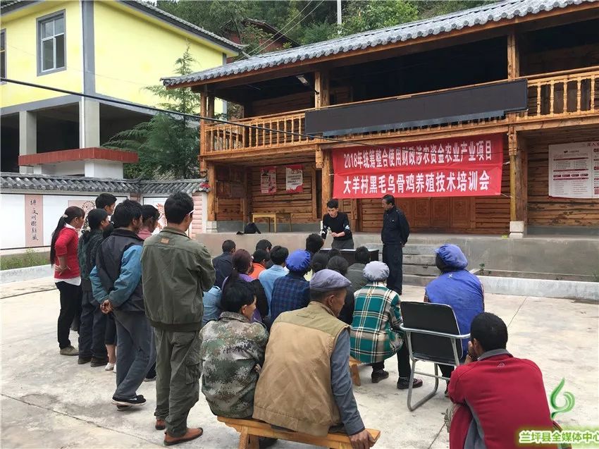 黑乌鸡养殖技术_养殖黑乌鸡技术要求_养殖黑乌鸡技术视频